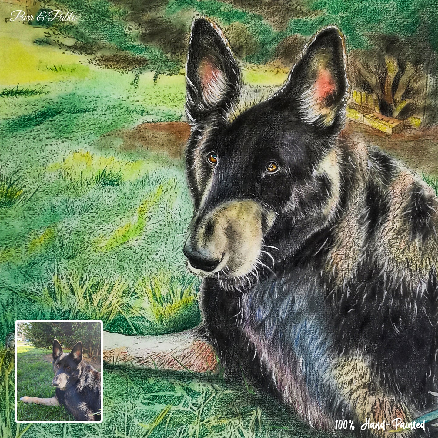 Dog Colored Pencil Drawing
