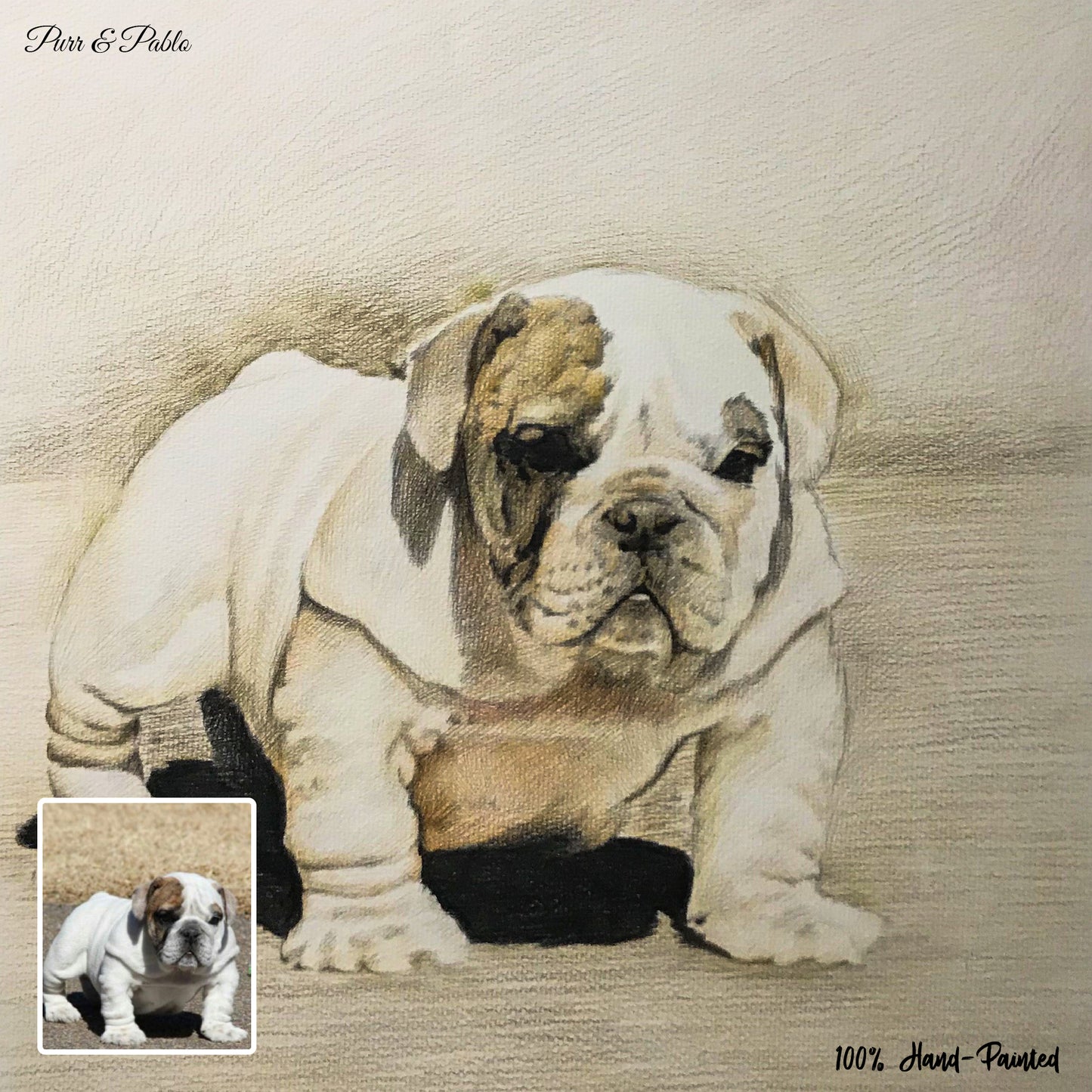 Dog Colored Pencil Drawing
