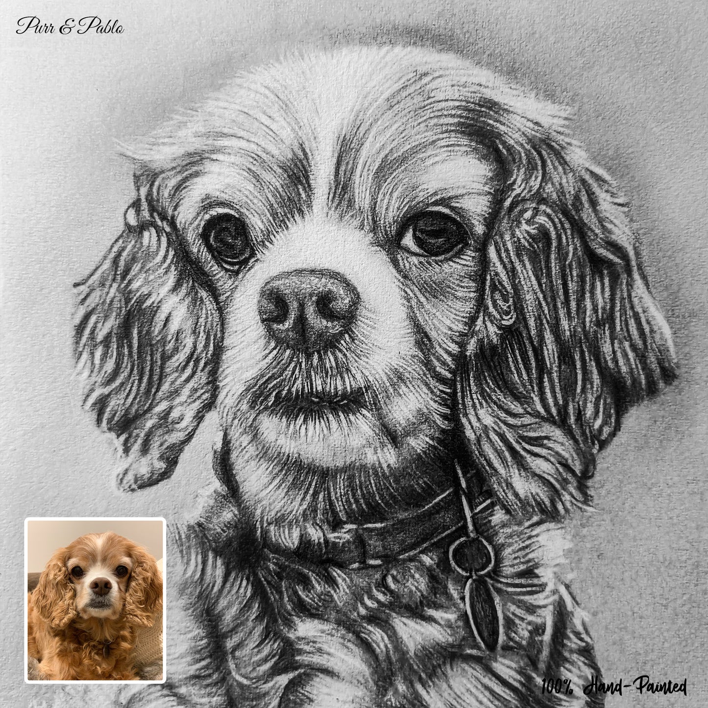 Dog Charcoal Drawing