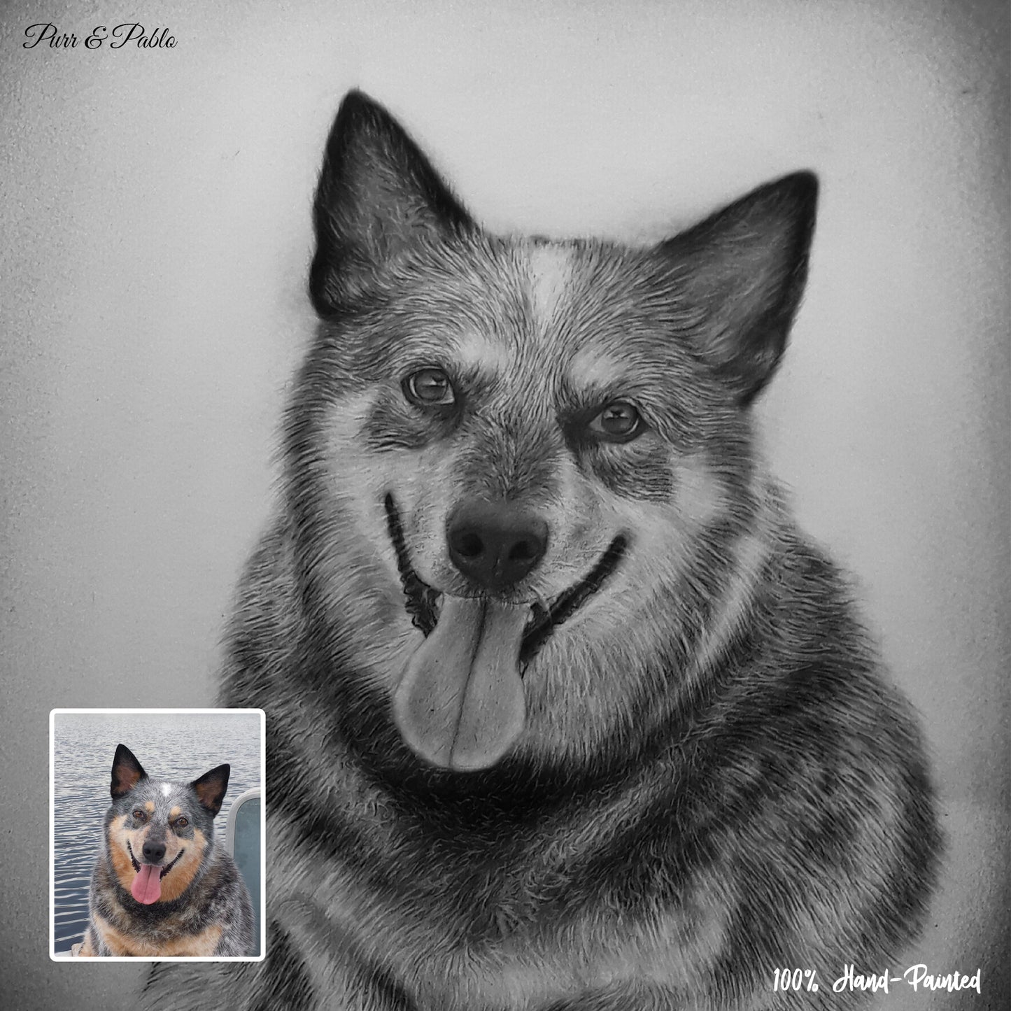 Dog Pencil Drawing