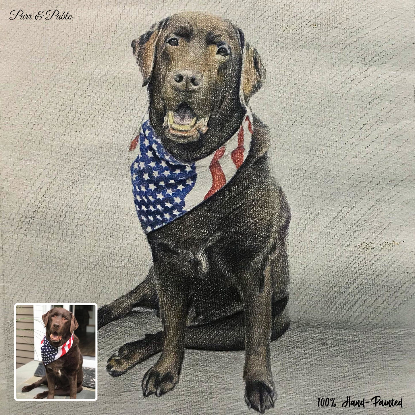 Dog Colored Pencil Drawing