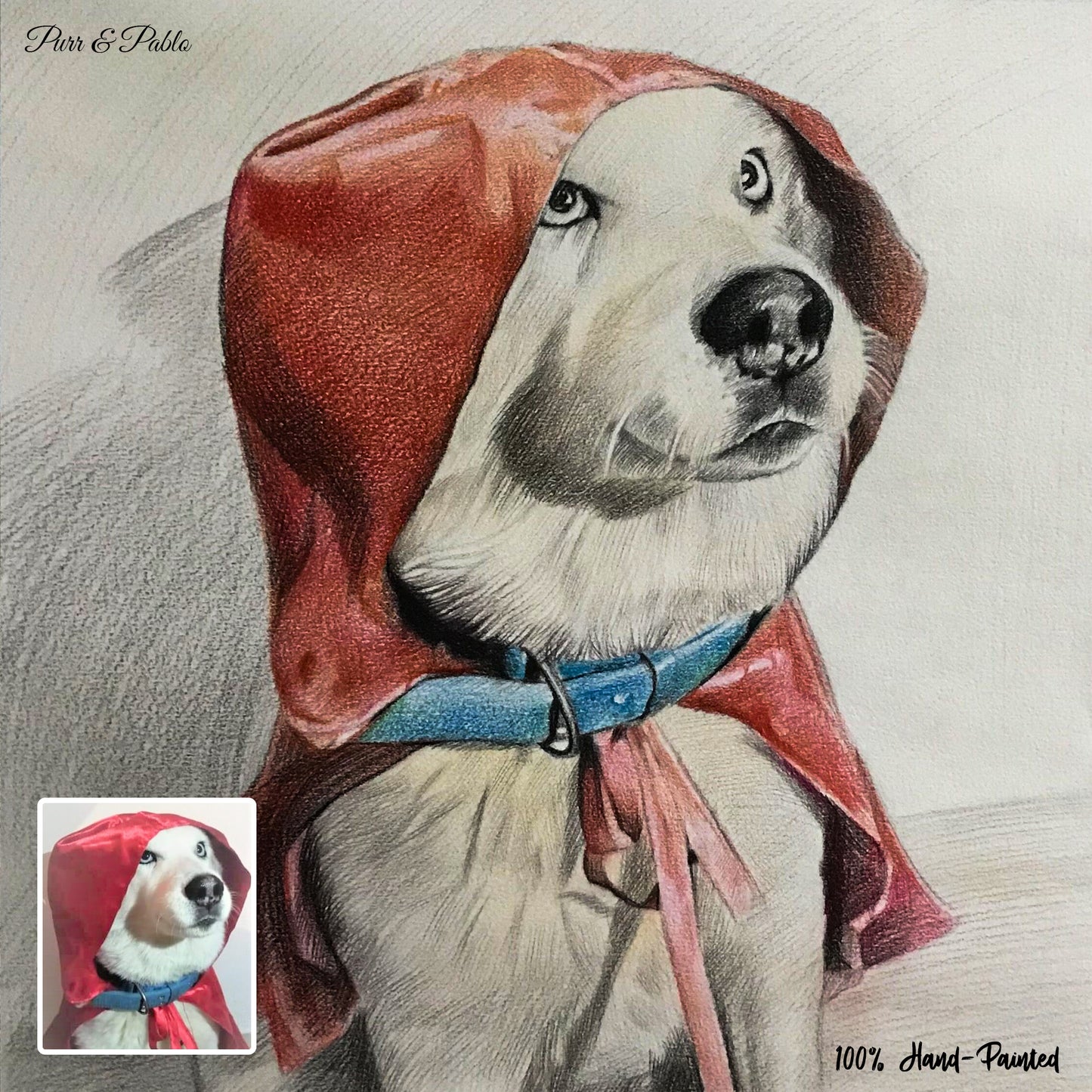 Dog Colored Pencil Drawing