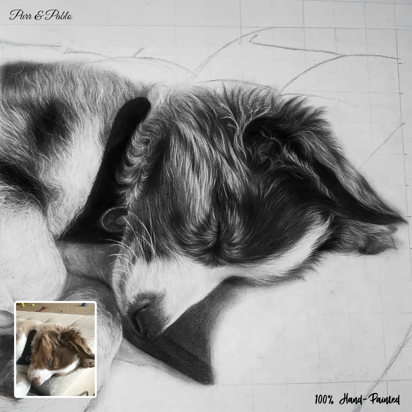Dog Charcoal Drawing