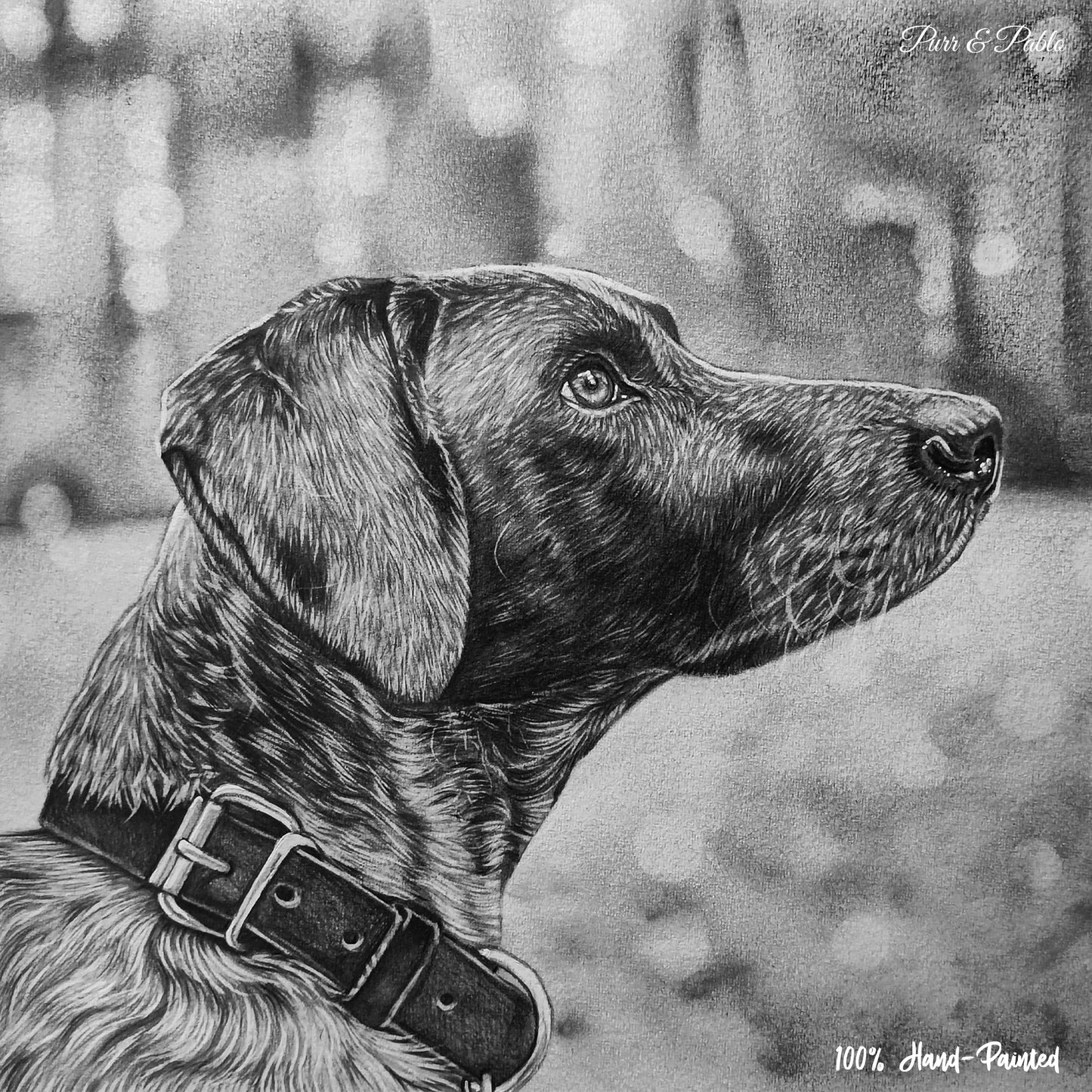 Dog Charcoal Drawing
