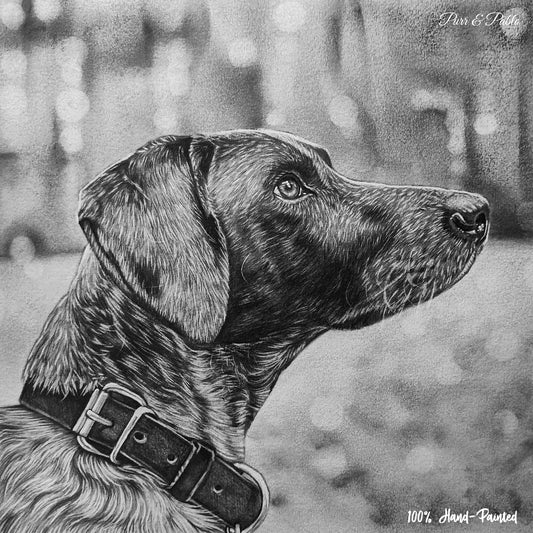 Dog Charcoal Drawing