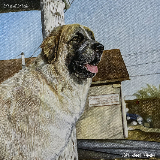 Dog Colored Pencil Drawing