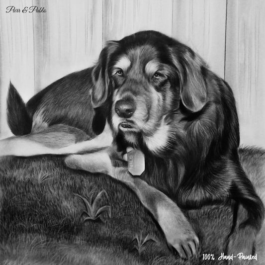 Dog Pencil Drawing