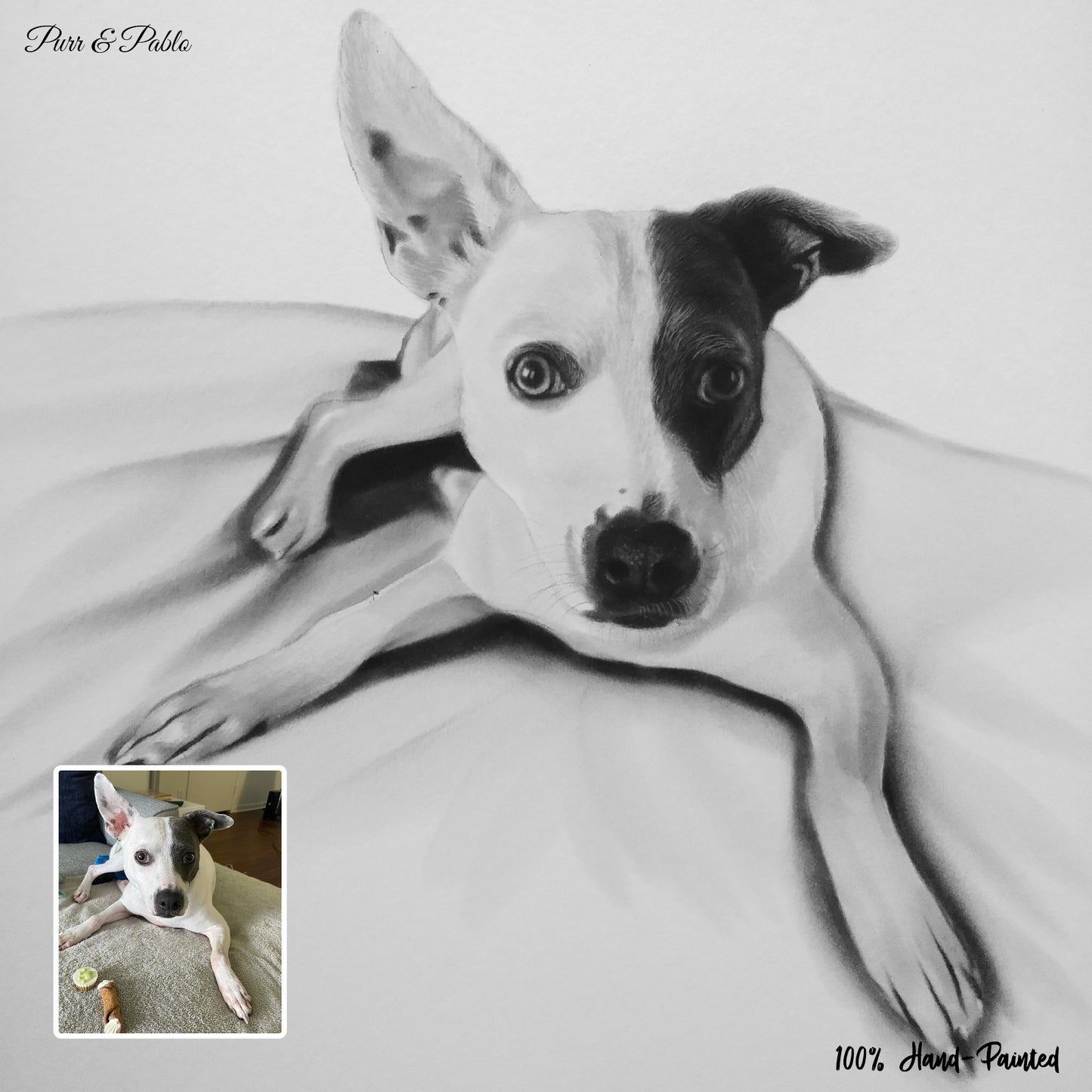 Dog Pencil Drawing