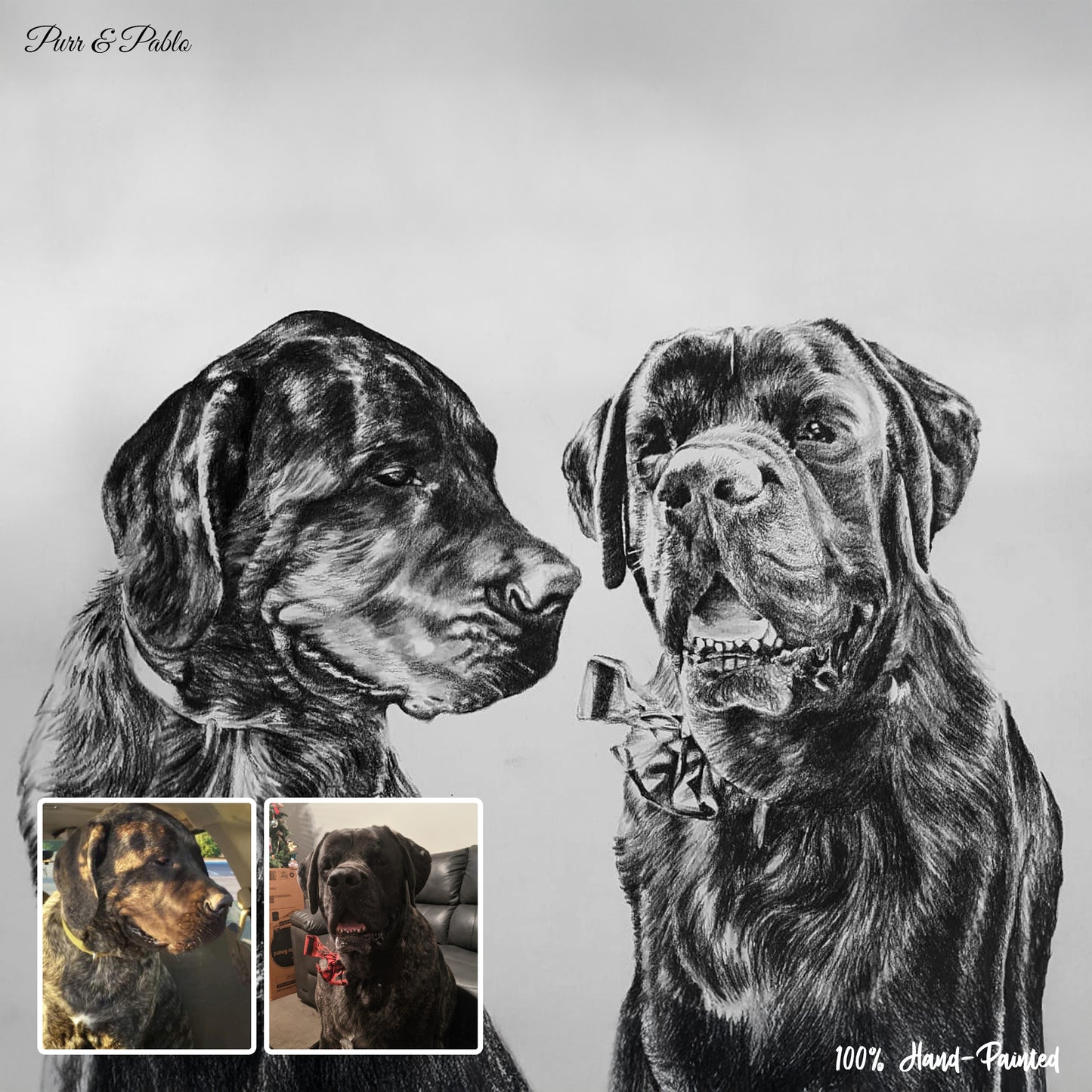 Dog Charcoal Drawing