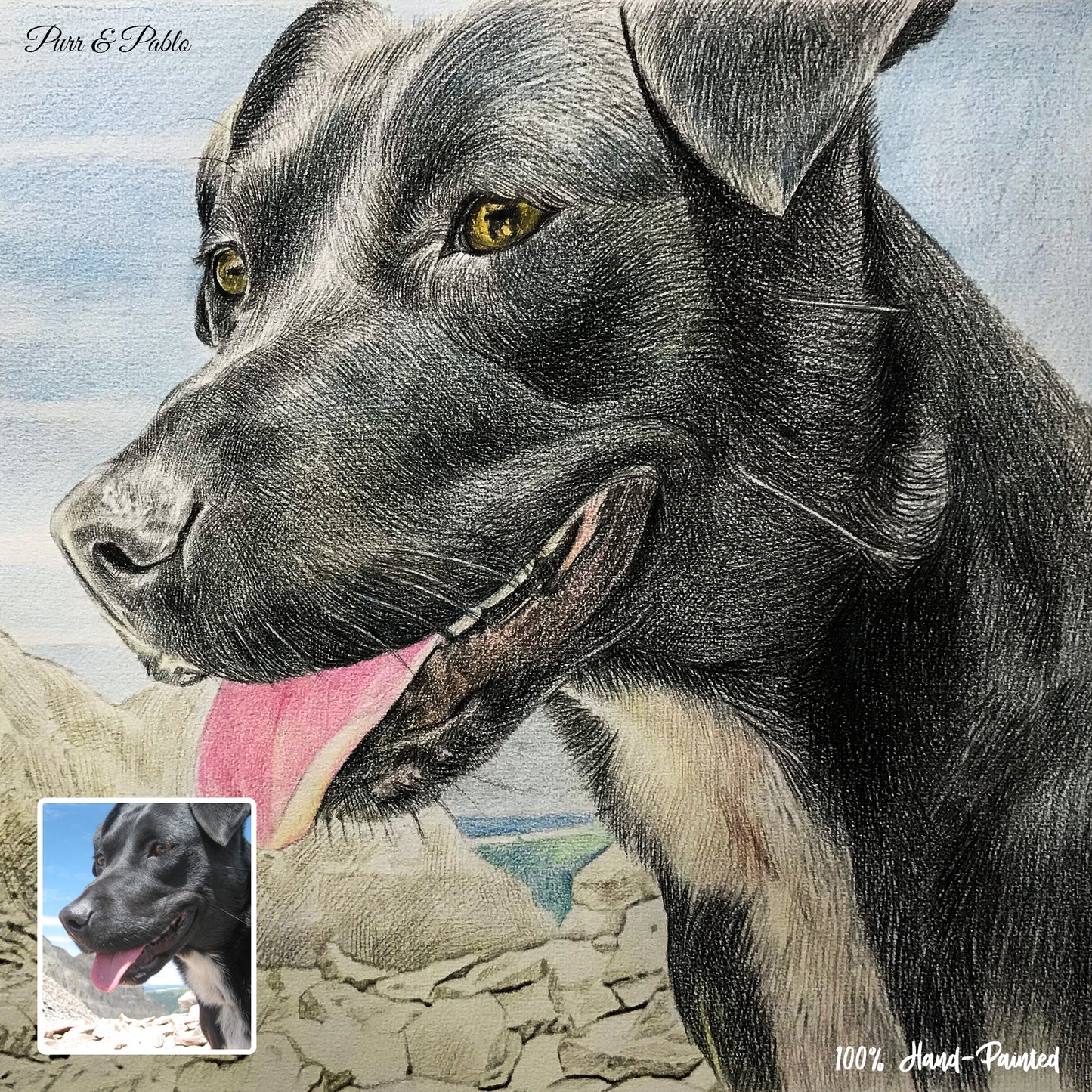 Dog Colored Pencil Drawing