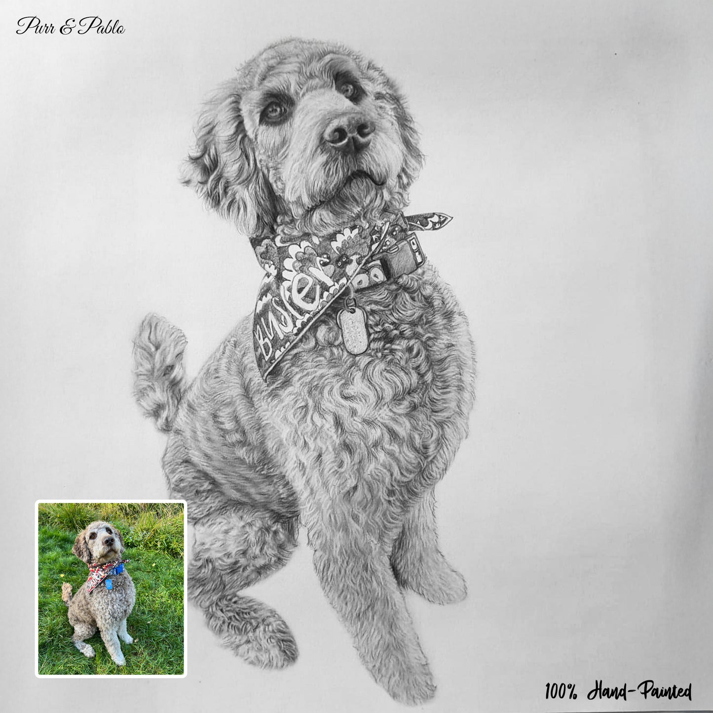 Dog Pencil Drawing
